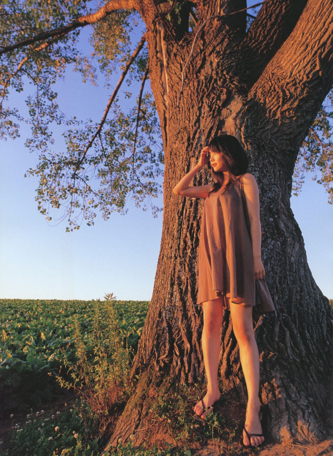 倉科カナ/仓科加奈 《Sunny Flower》-图13