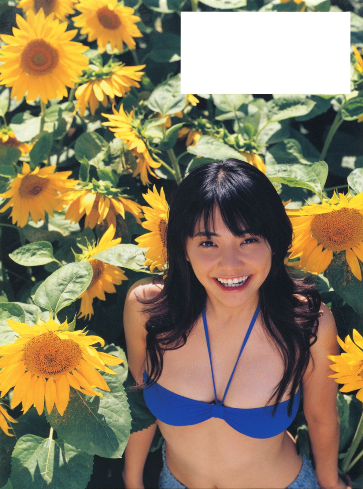 倉科カナ/仓科加奈 《Sunny Flower》-图24