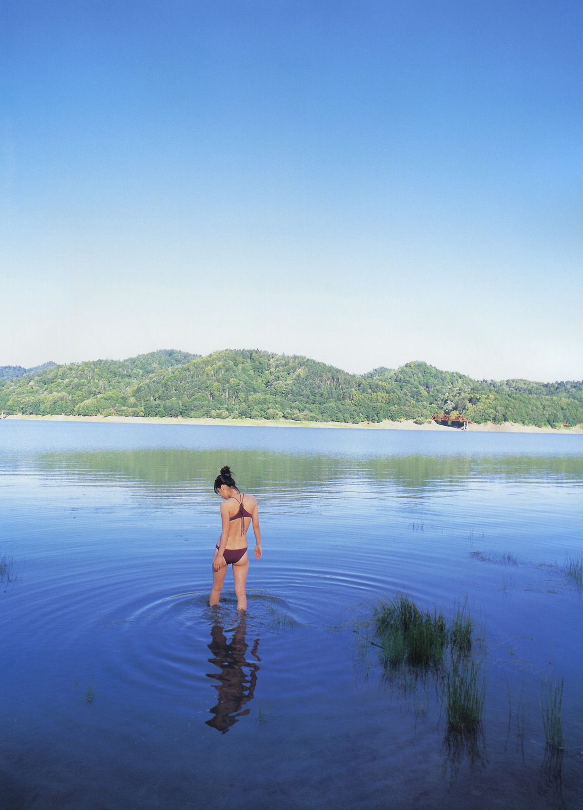 倉科カナ/仓科加奈 《Sunny Flower》-图46