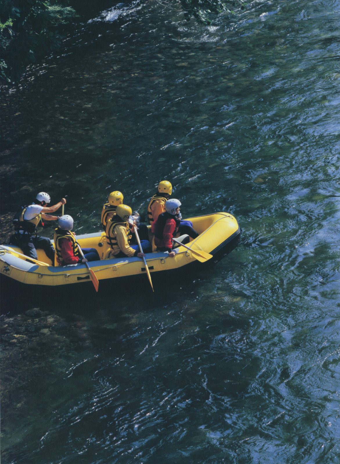 倉科カナ/仓科加奈 《Sunny Flower》-图51
