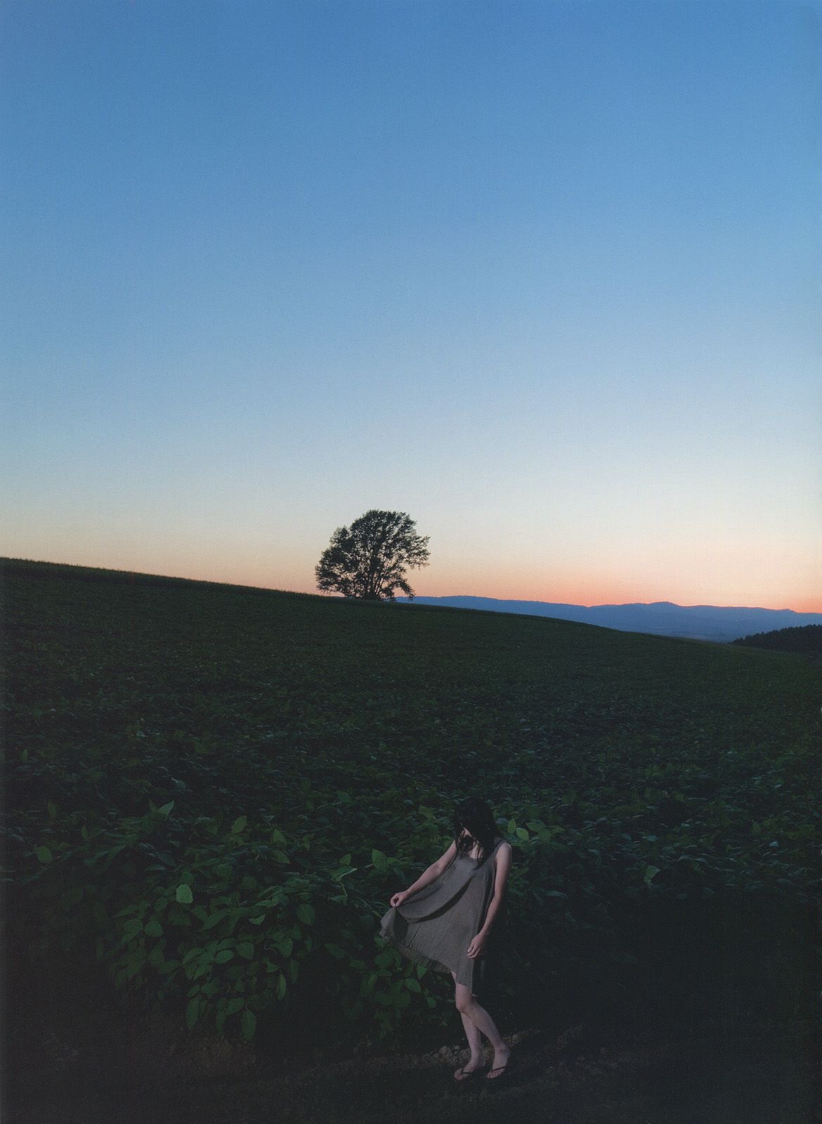 倉科カナ/仓科加奈 《Sunny Flower》-图8