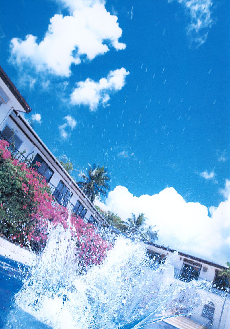 金子さやか/金子沙也香 《AQUA-TAIL》-图33