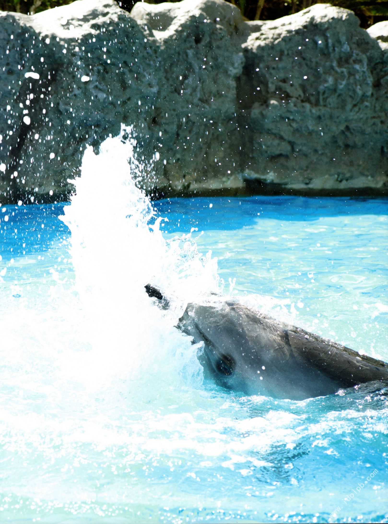 高山一実/高山一实 《恋かもしれない》-图46