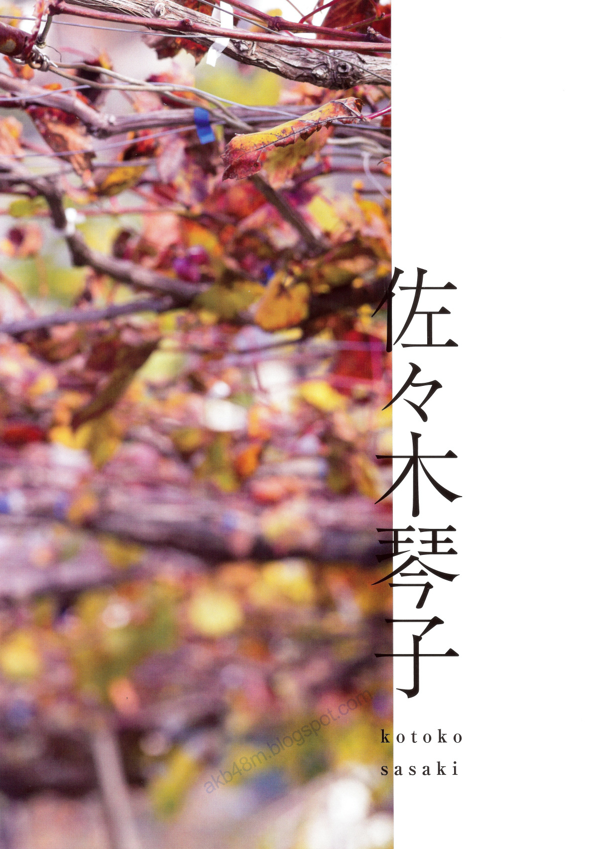 乃木坂46 《Winter 彩冬》 [PB 季刊-图59