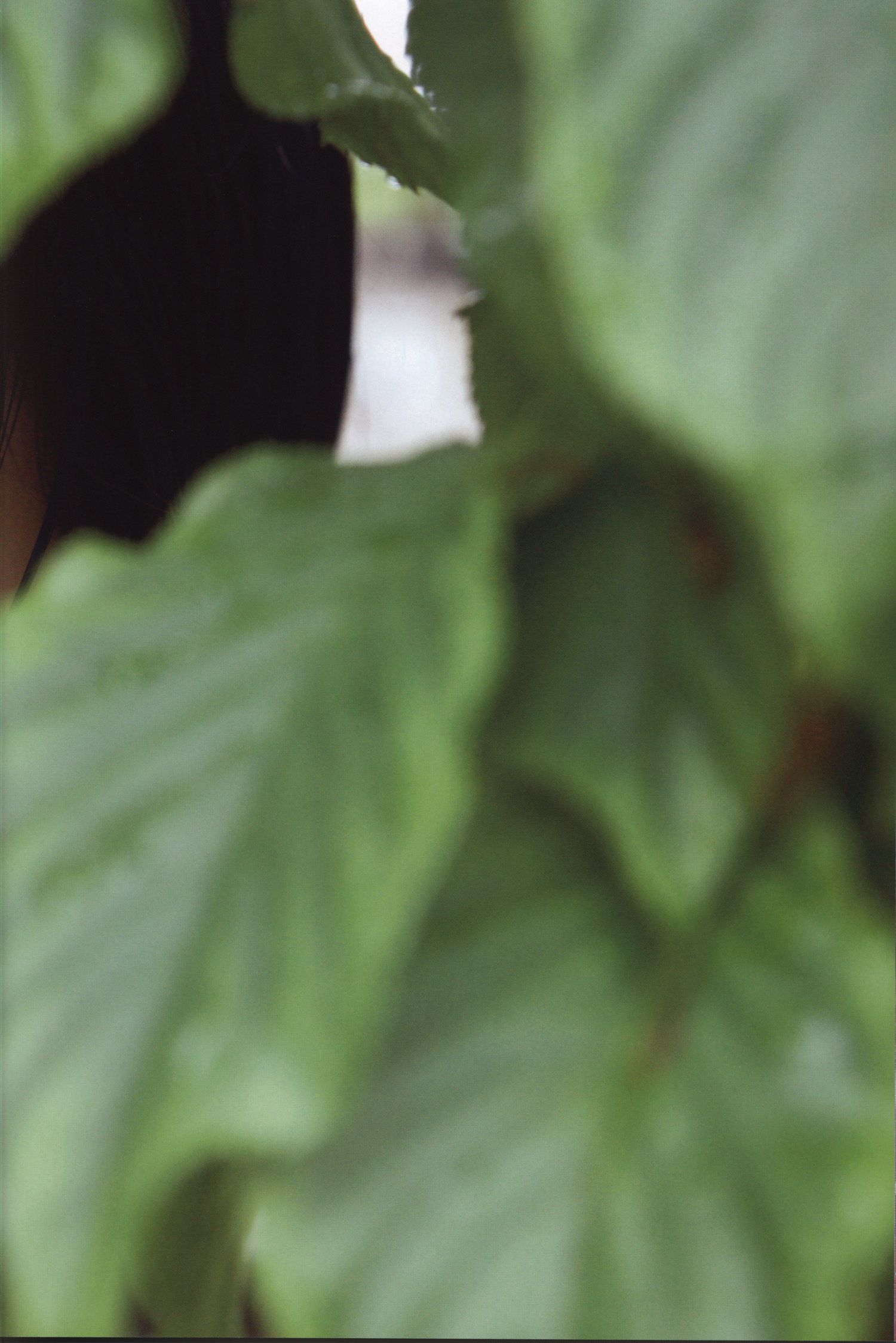 工藤遥《Tenki ni Naare!》-图29