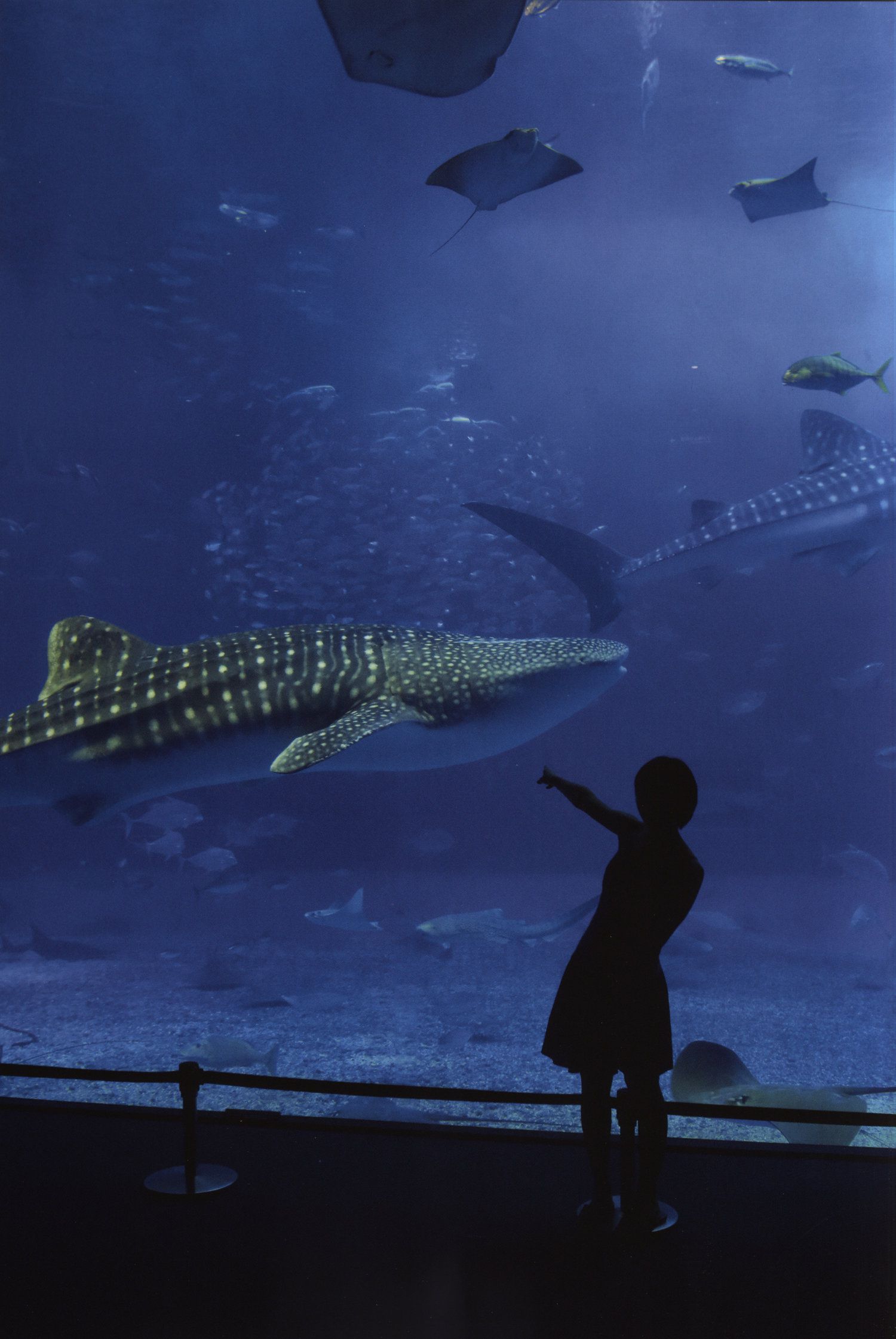 工藤遥《Tenki ni Naare!》-图70