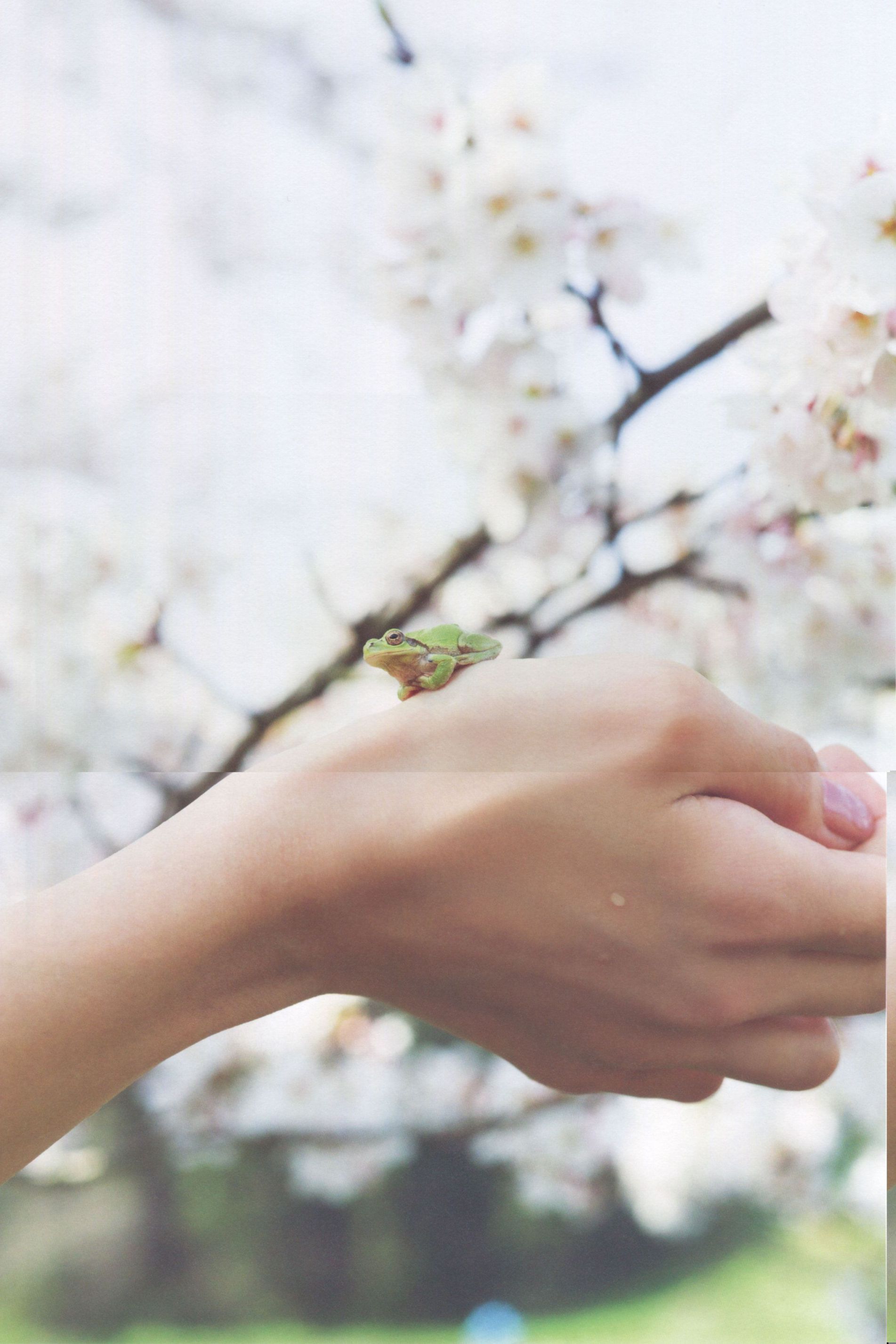 深川麻衣《ずっと、そばにいたい》-图99