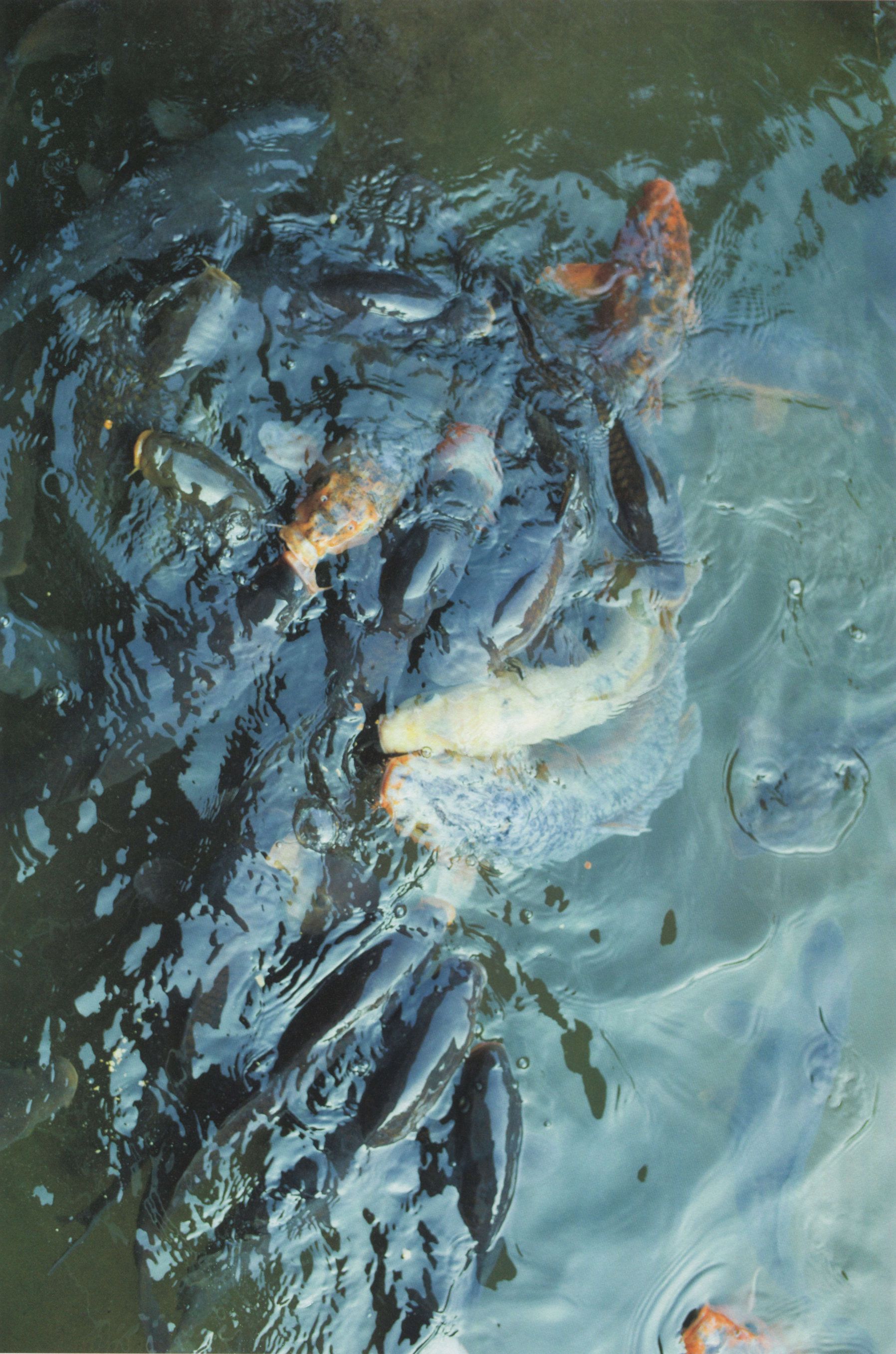 深川麻衣《ずっと、そばにいたい》-图18