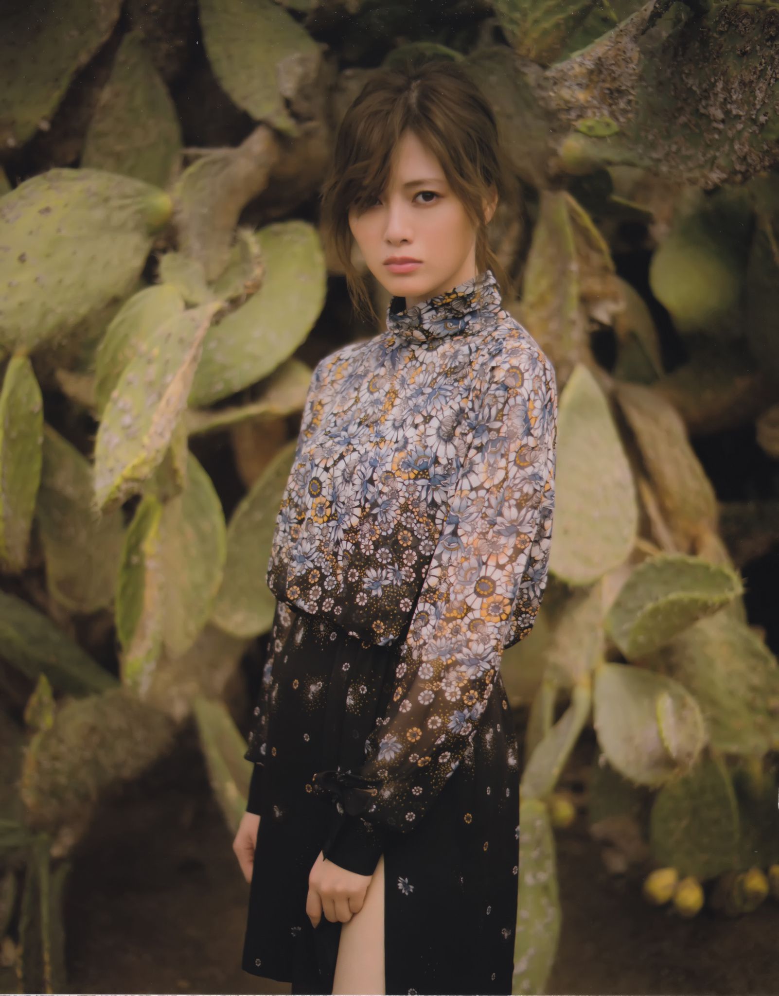 白石麻衣《パスポート》-图2