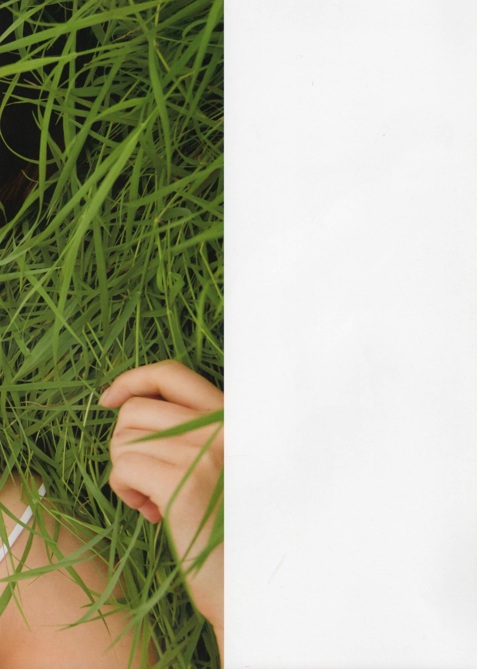 卫藤美彩《Color》-图9