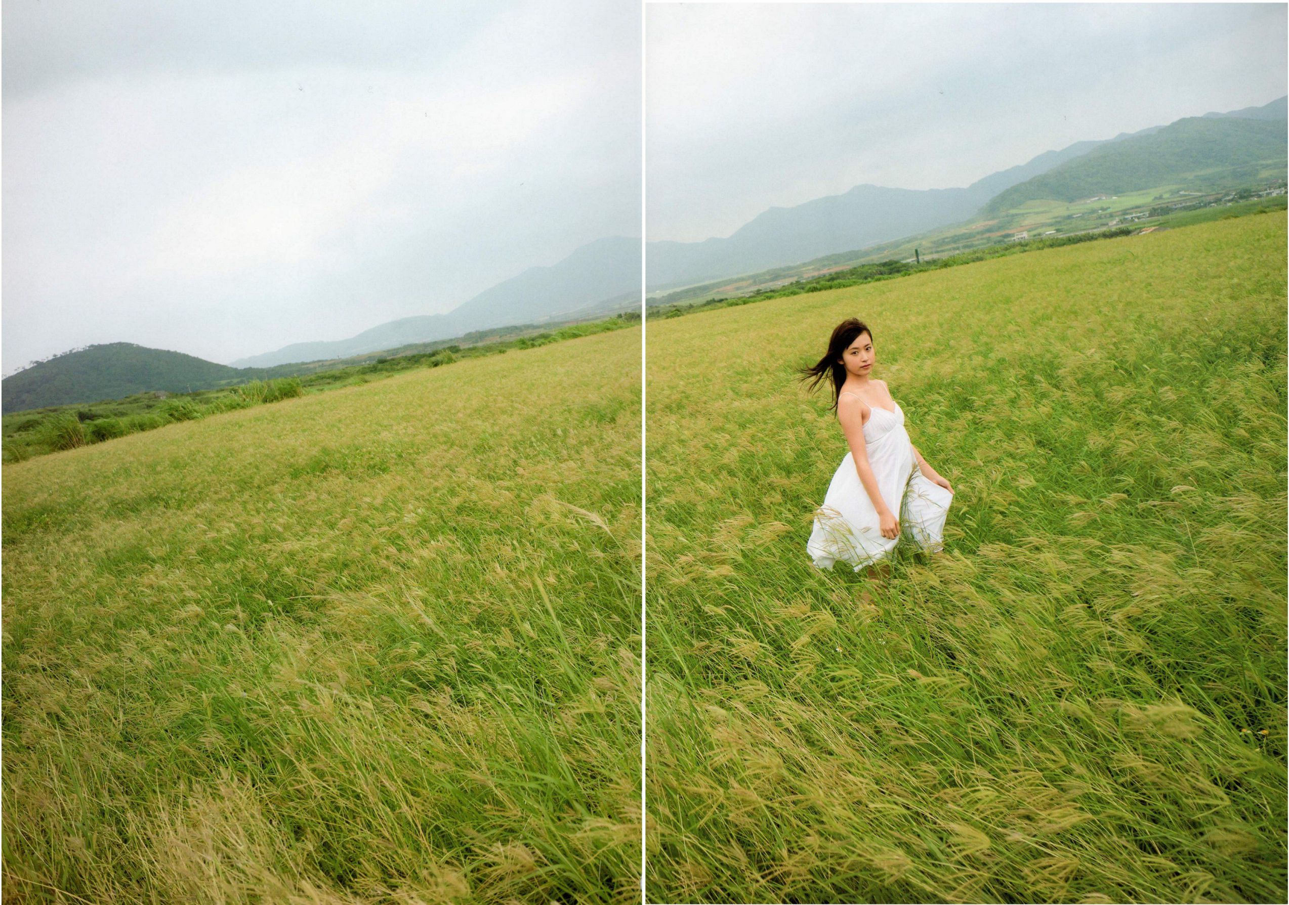 卫藤美彩《Color》-图1