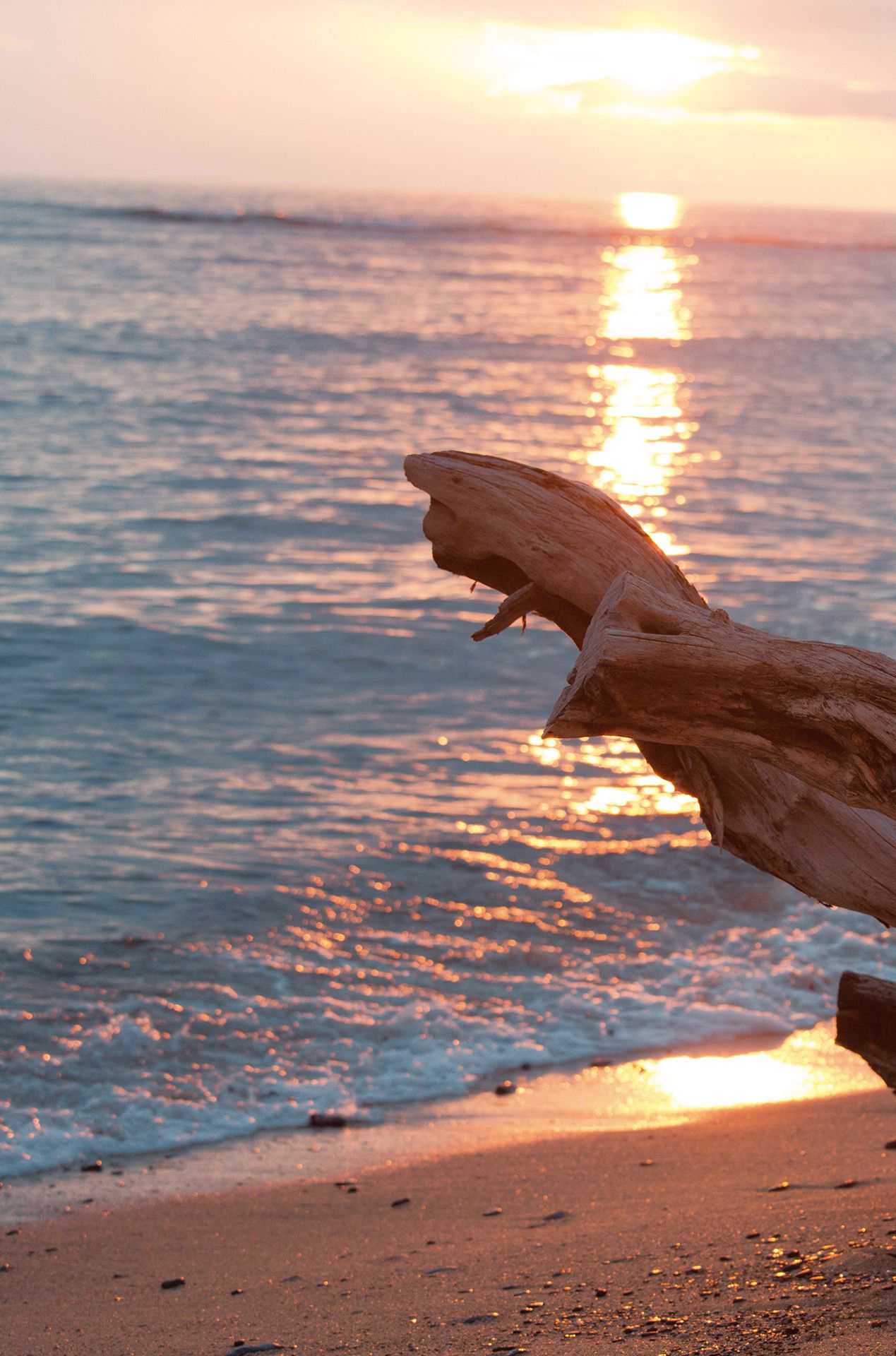 筧美和子/笕美和子《ヴィーナス誕生》-图25