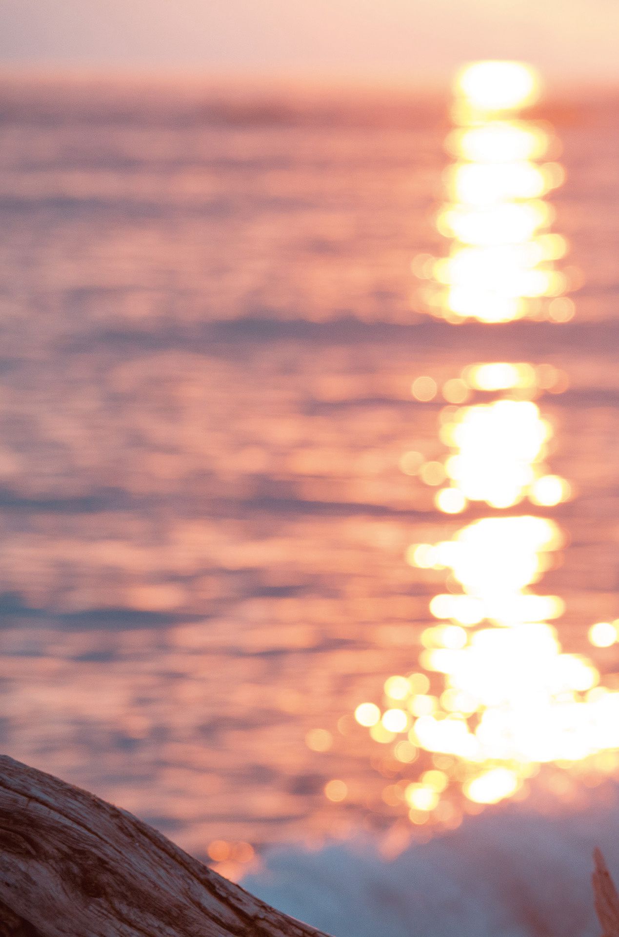 筧美和子/笕美和子《ヴィーナス誕生》-图27