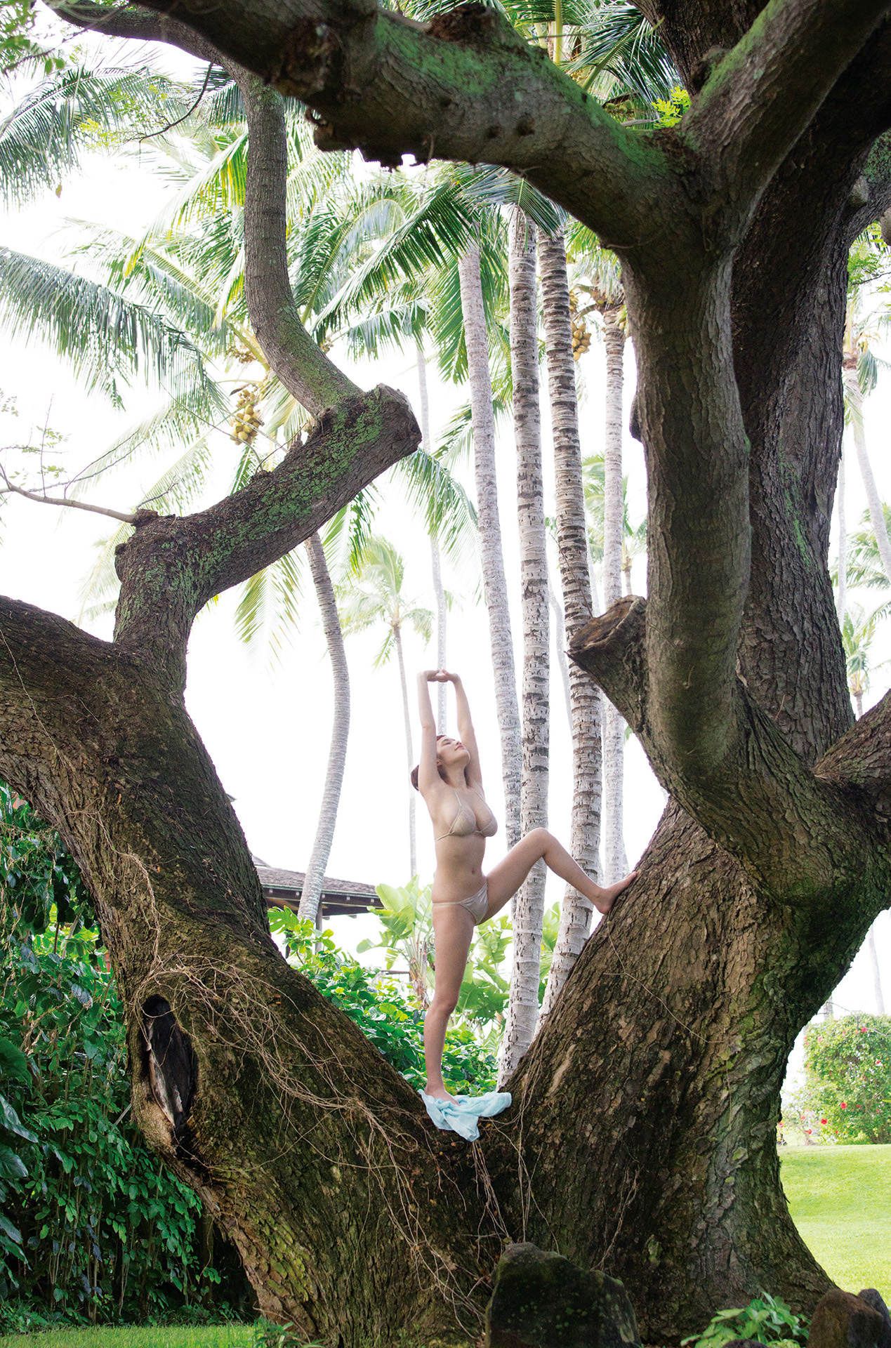 筧美和子/笕美和子《ヴィーナス誕生》-图40