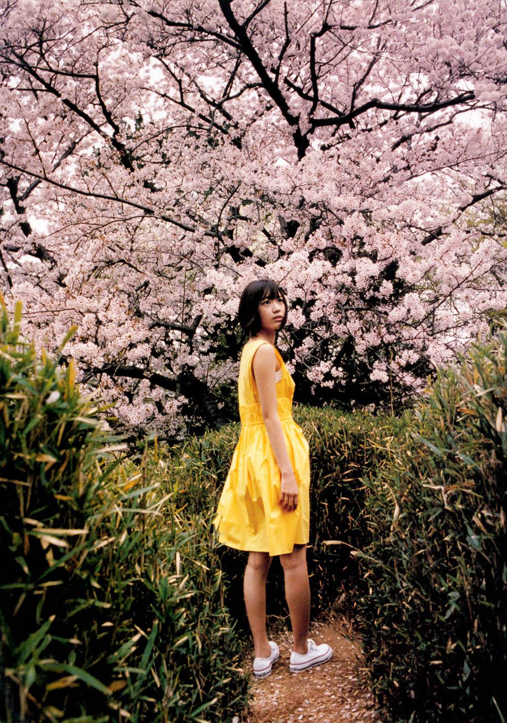 宮脇咲良/宫胁咲良《Sakura》-图45