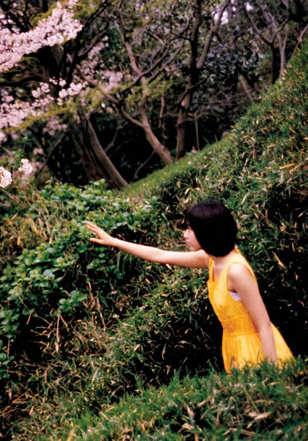 宮脇咲良/宫胁咲良《Sakura》-图63