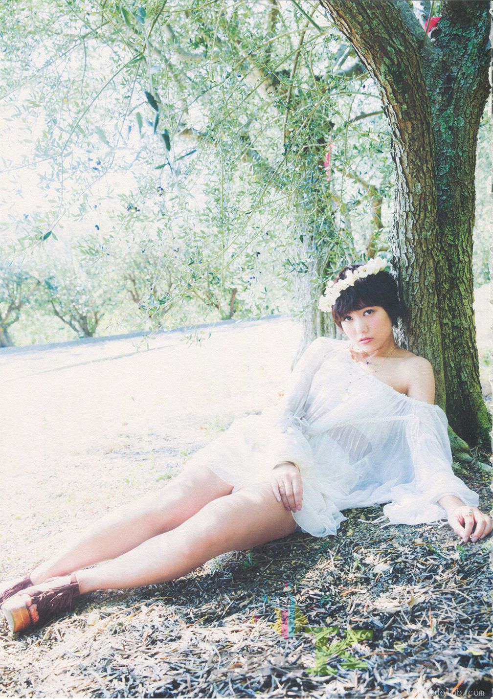 宫泽佐江《Namida No Yukue》Chinese Translation-图9