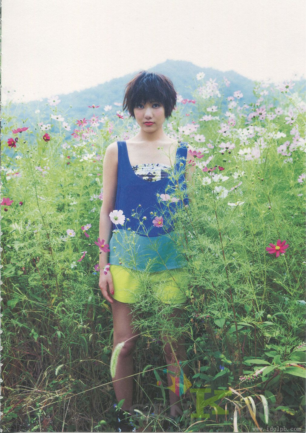 宫泽佐江《Namida No Yukue》Chinese Translation-图60