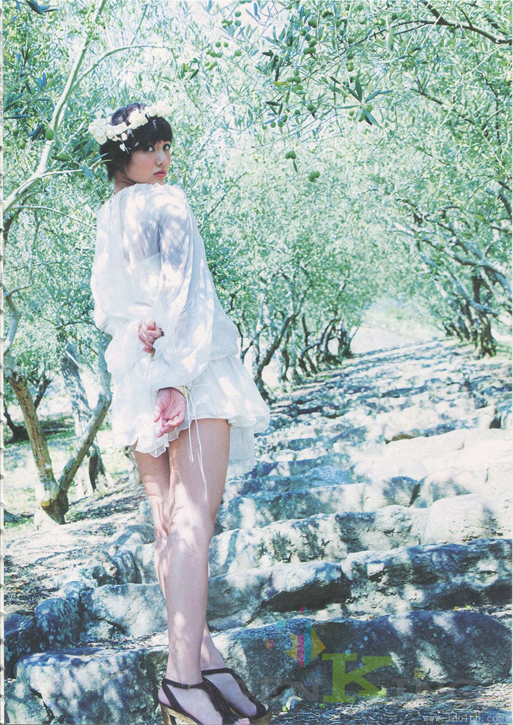 宫泽佐江《Namida No Yukue》Chinese Translation-图7