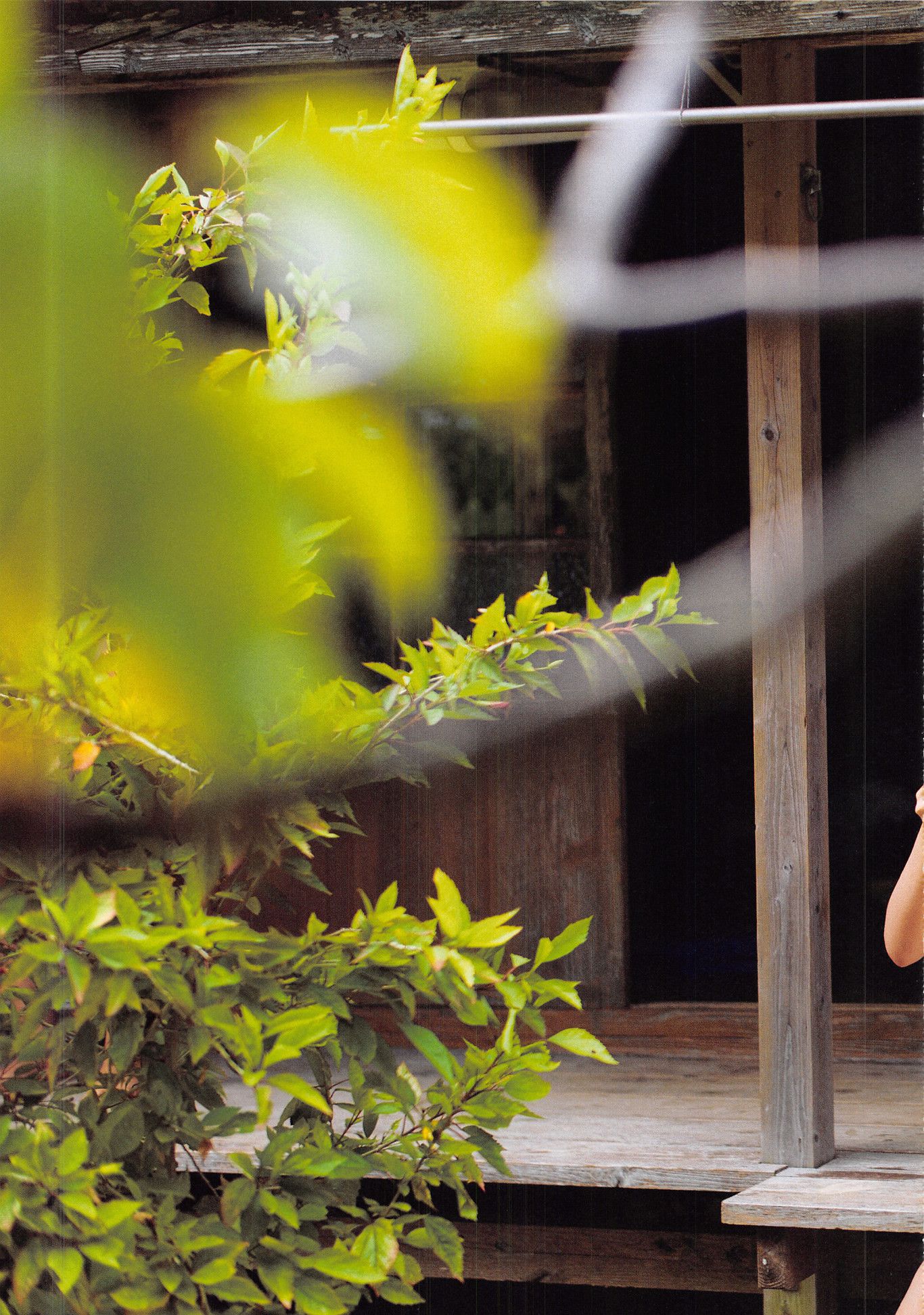 森保まどか/森保圆 《Mori no Monologue》-图33