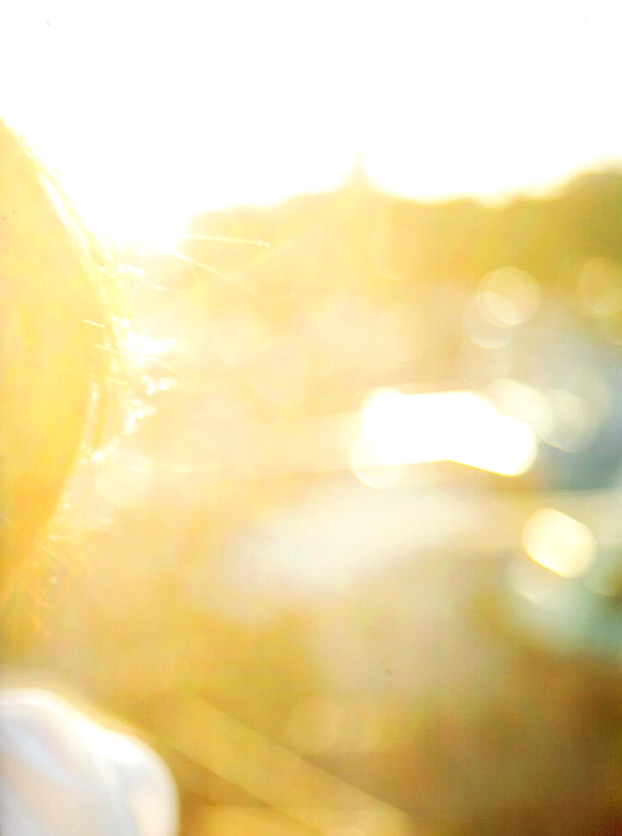 橋本奈々未/桥本奈奈未《やさしい棘》-图25