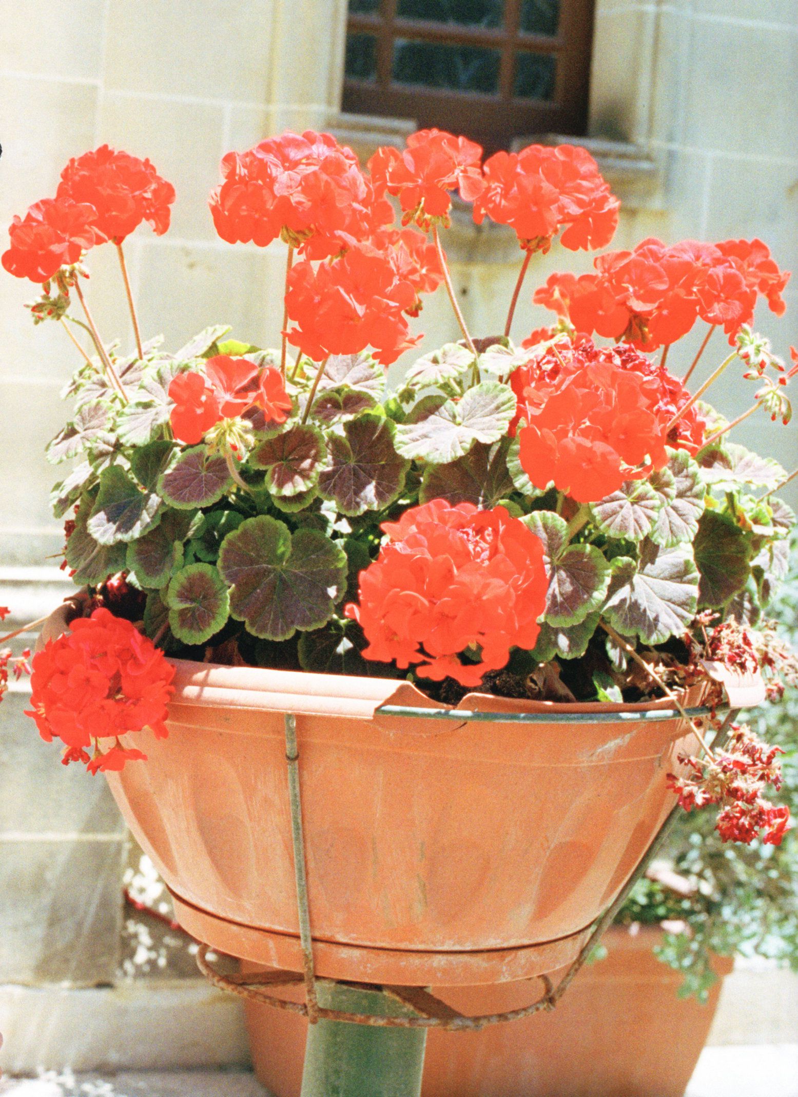 西野七濑 《風を着替えて》-图129