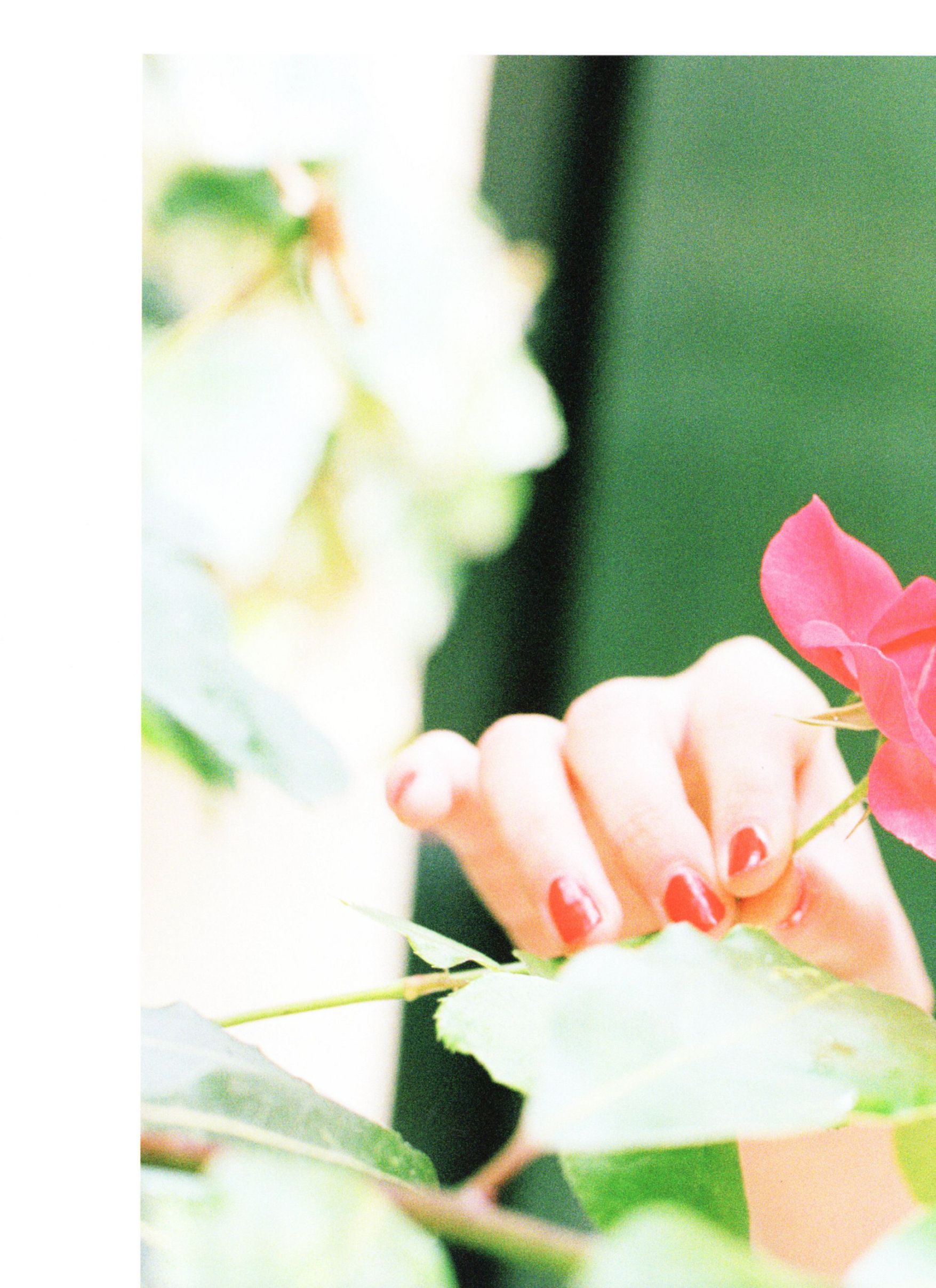 西野七濑 《風を着替えて》-图70