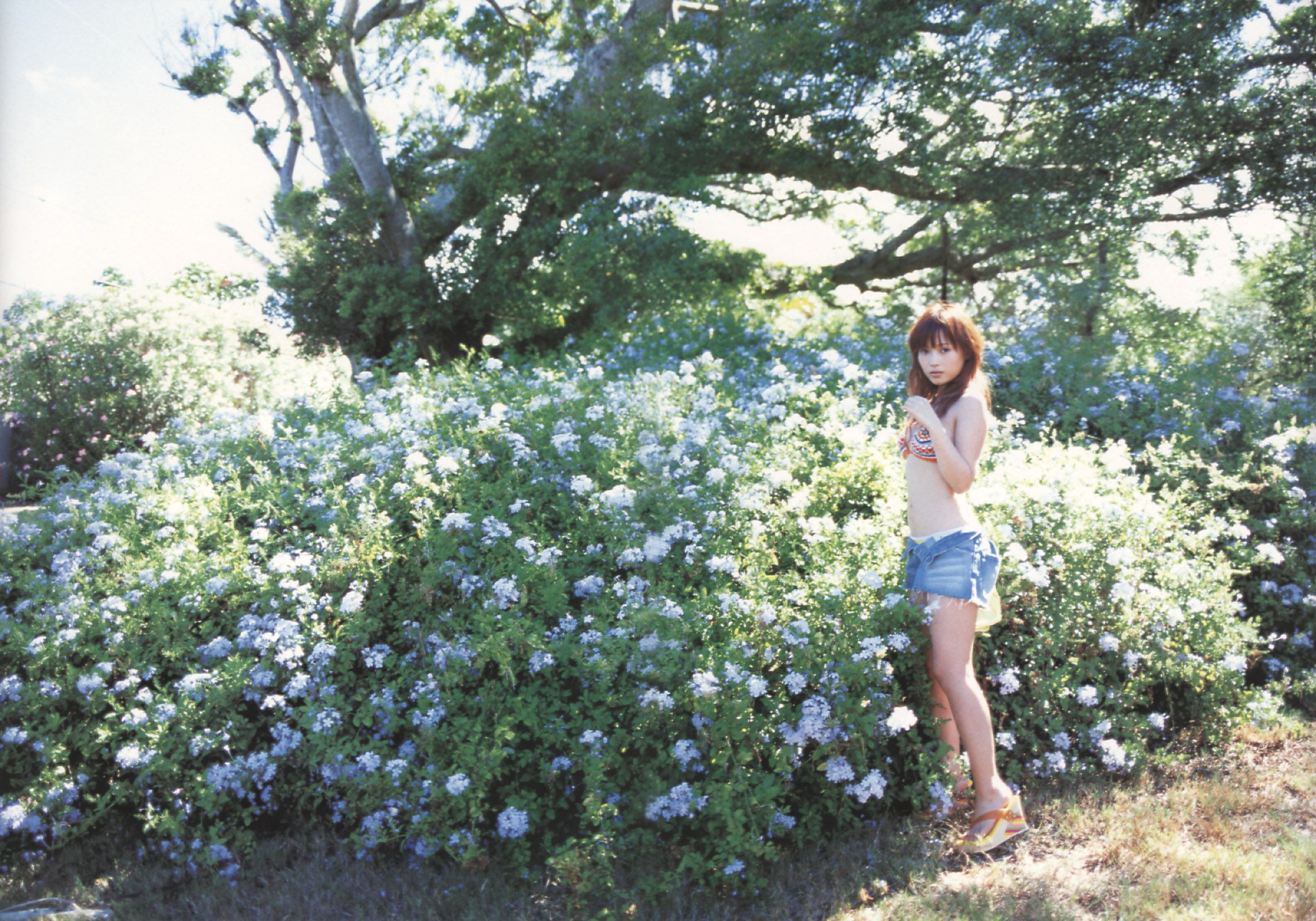 安倍なつみ 《Alo-Hello! アロハロ!》-图44