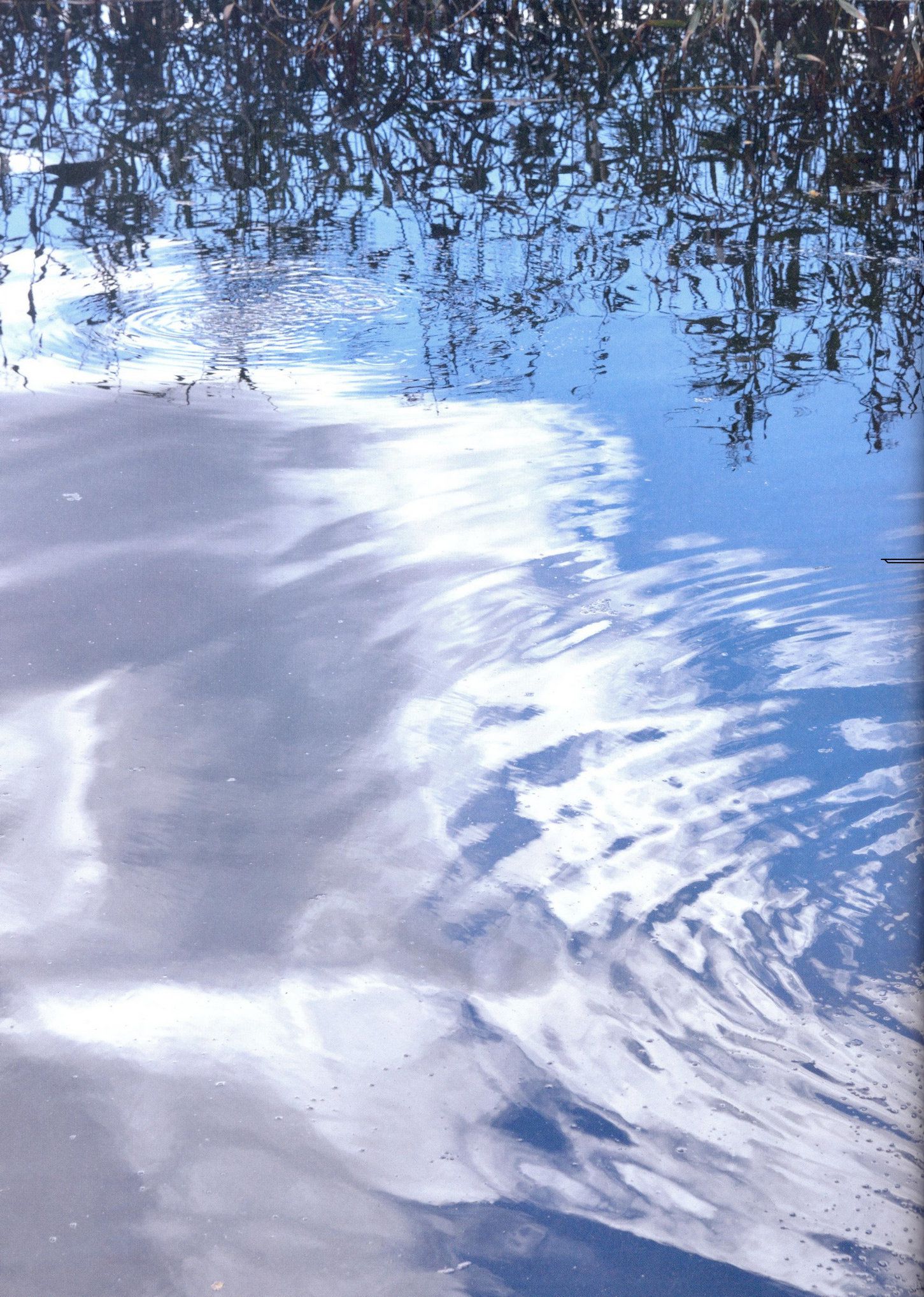 安倍夏美 《Fin no Hito》-图28