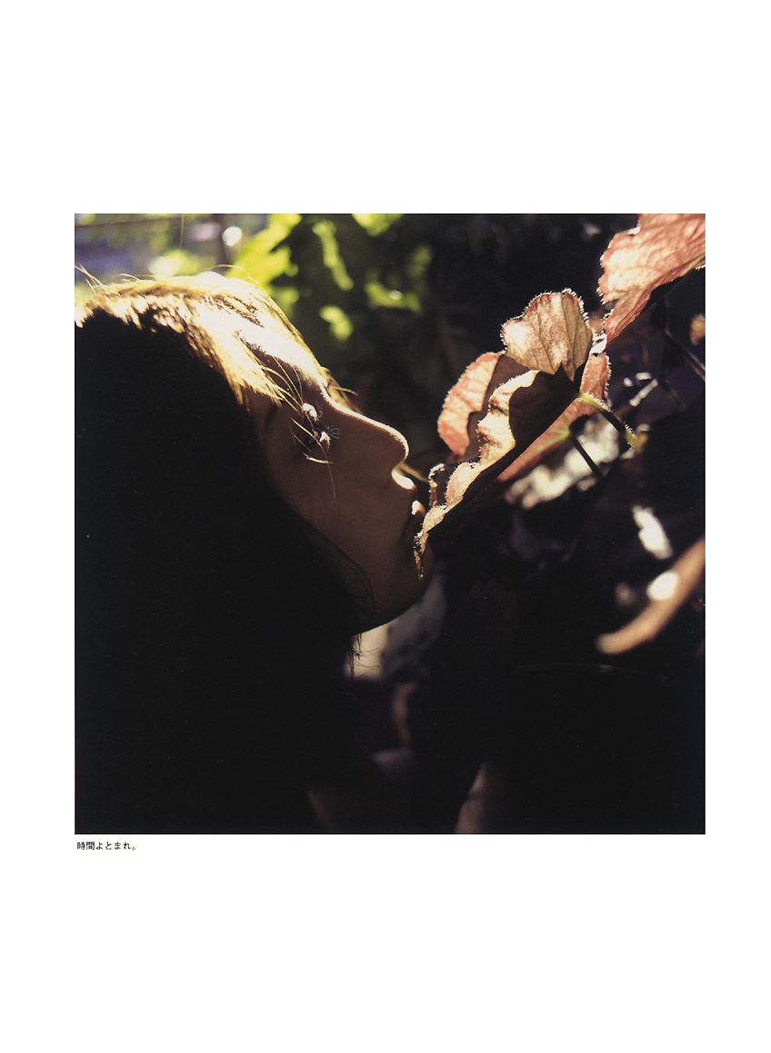 相楽のり子 《on／off》-图47