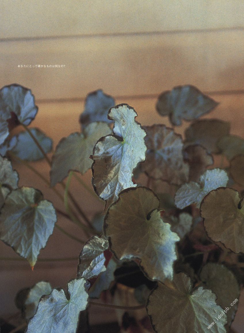 相楽のり子 《on／off》-图67