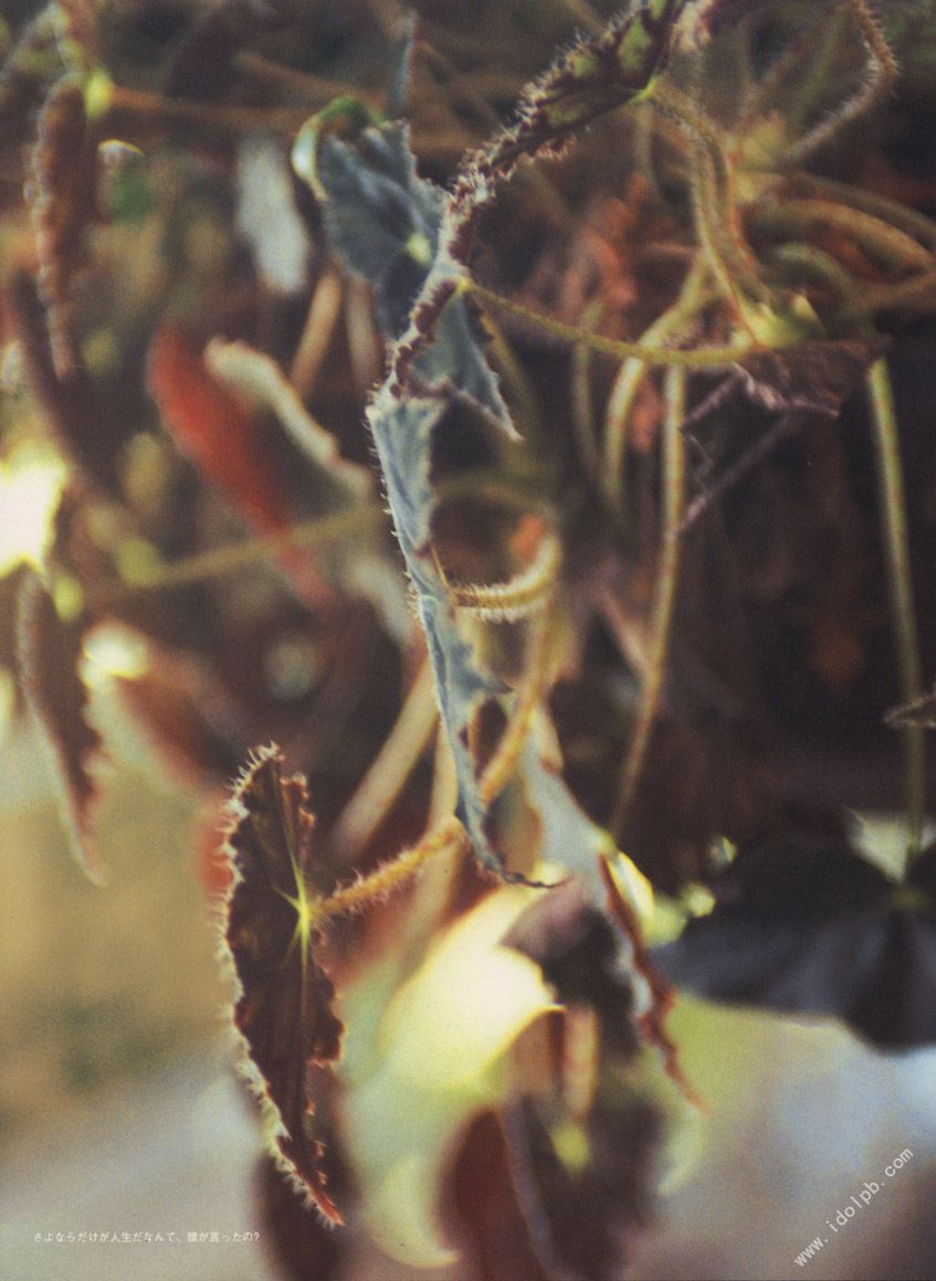 相楽のり子 《on／off》-图71