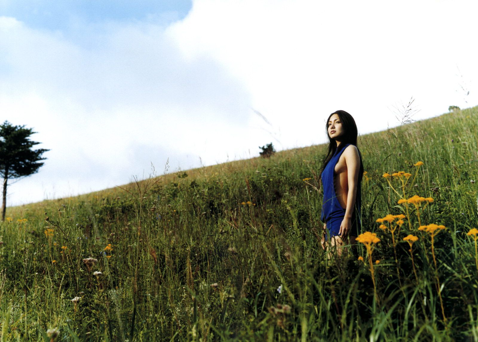 周防玲子《Chamomile》-图23