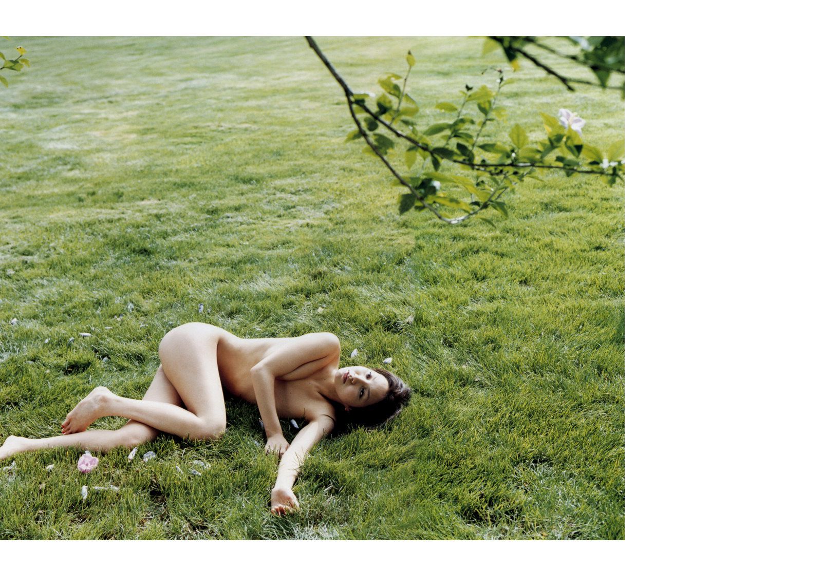 周防玲子《Chamomile》-图49