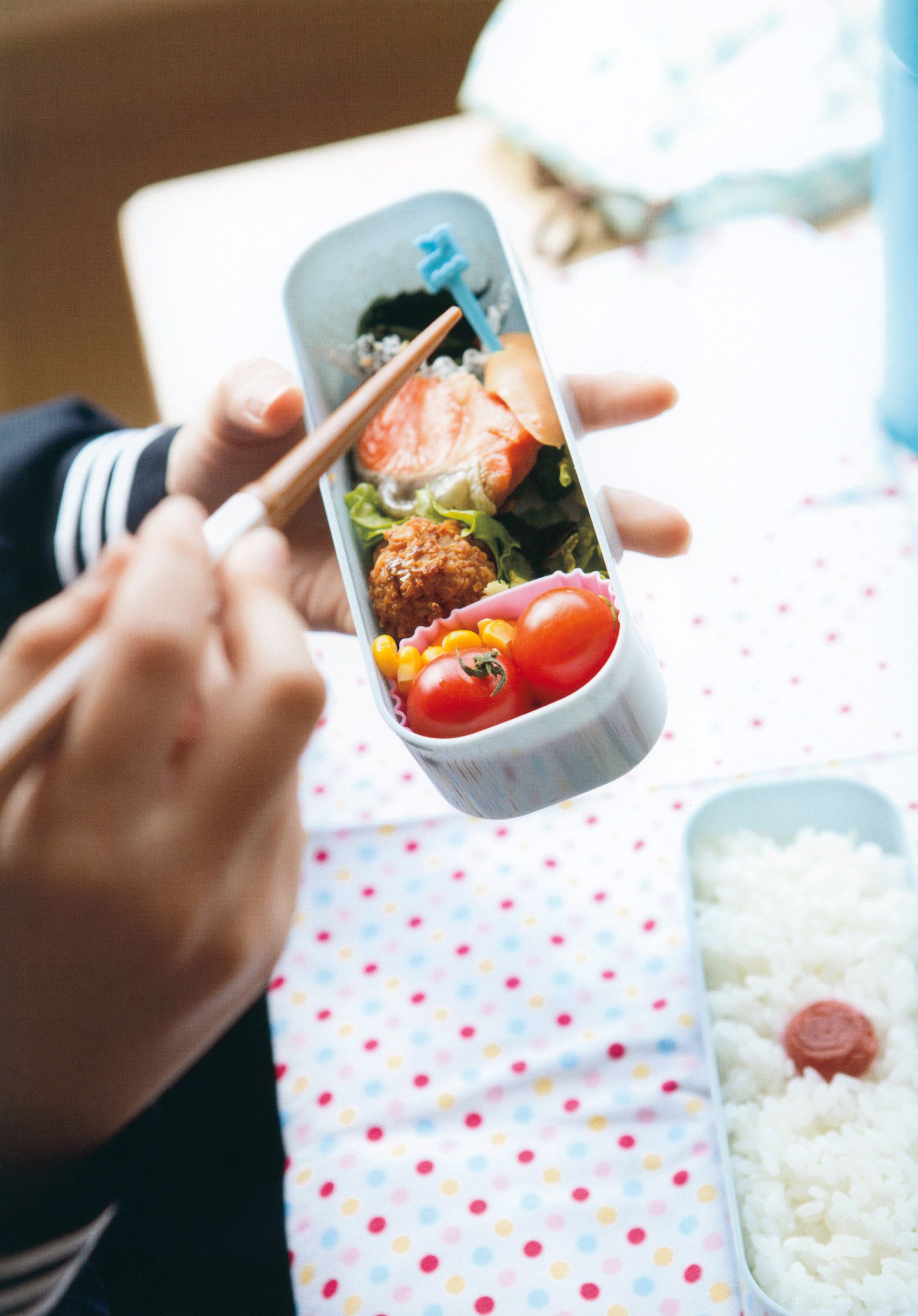 小田さくら/小田樱 《 さくら模様 》ファースト-图2