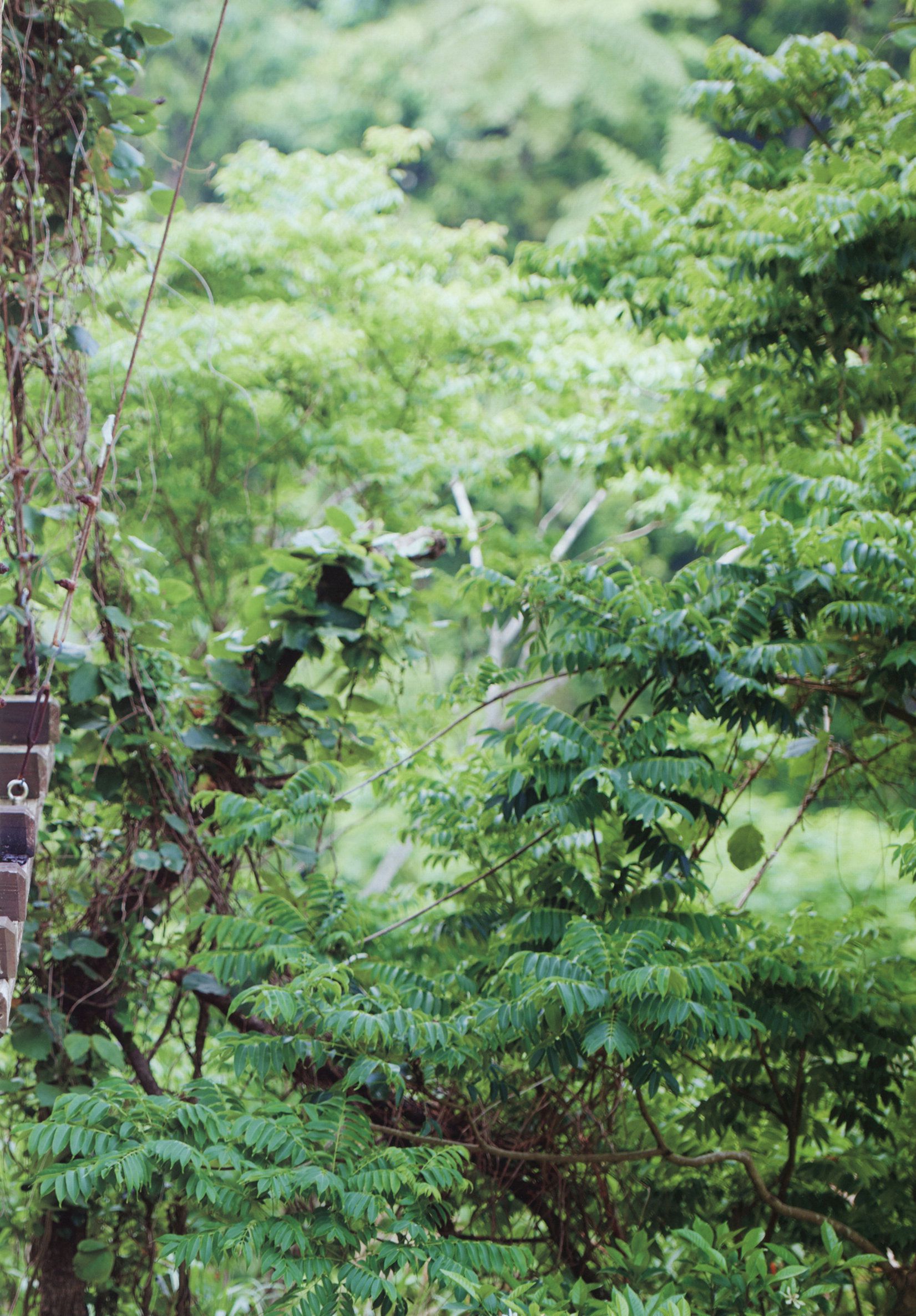 佐々木莉佳子/佐佐木莉佳子 《RIKAKO》-图37