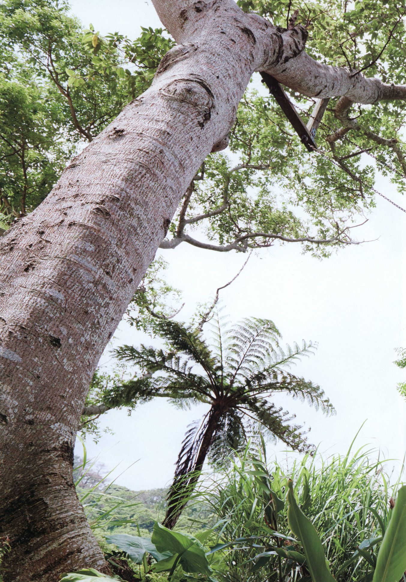 佐々木莉佳子/佐佐木莉佳子 《RIKAKO》-图49