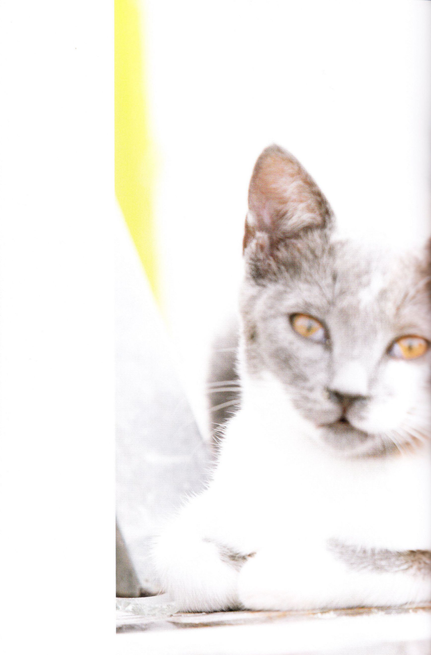 Sayaka Yamamoto 山本彩《みる神》-图74