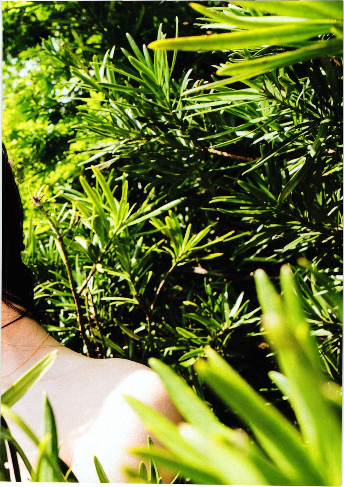 加贺美圣良/加賀美セイラ《Neo Mook》-图33