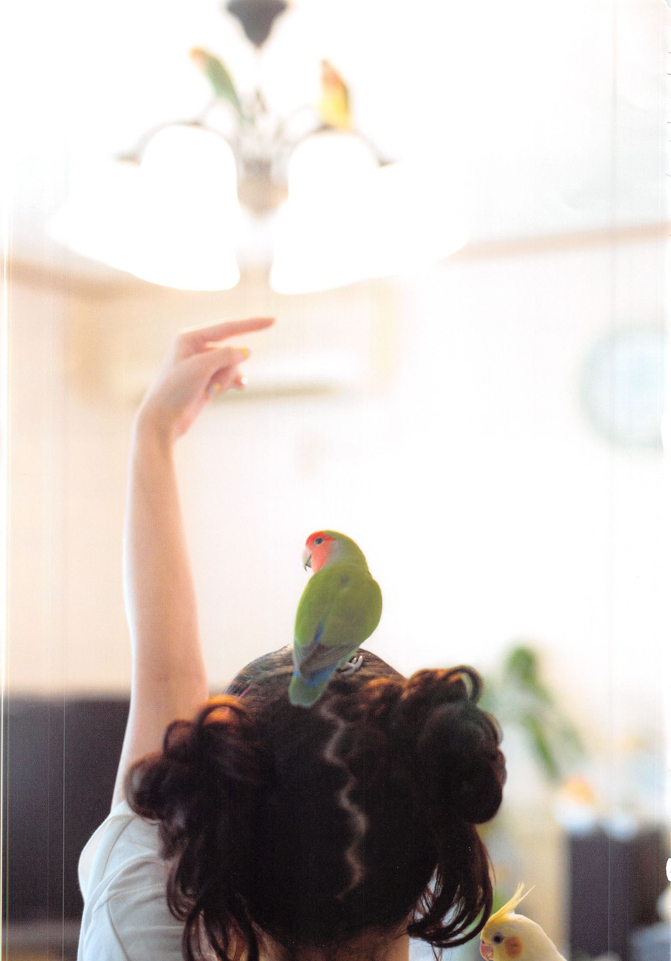 高柳明音《Churi》-图73