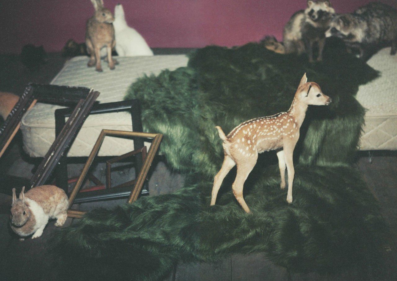 户田惠梨香 《IQUEEN》-图15