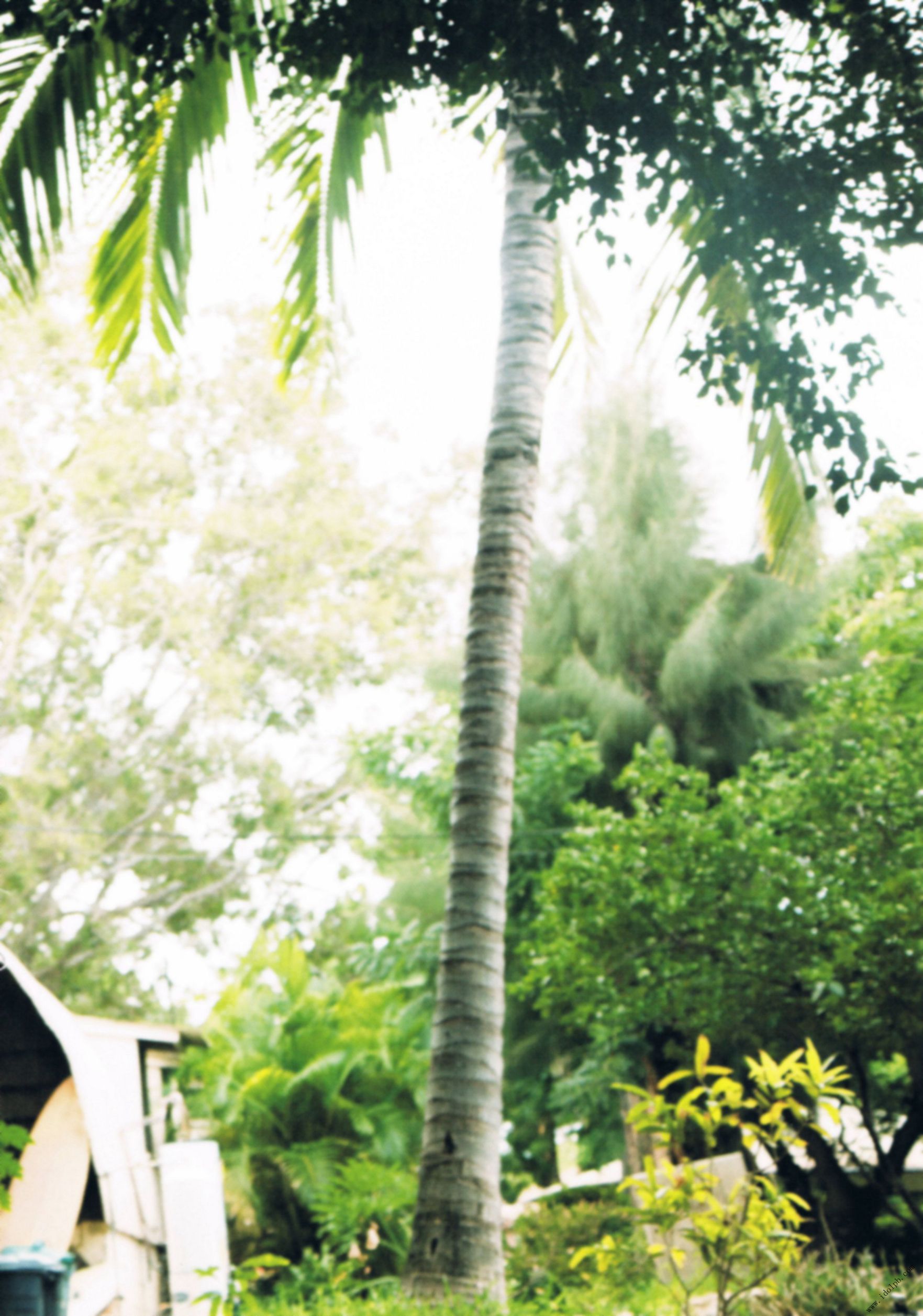 河西智美《灼けた》-图127