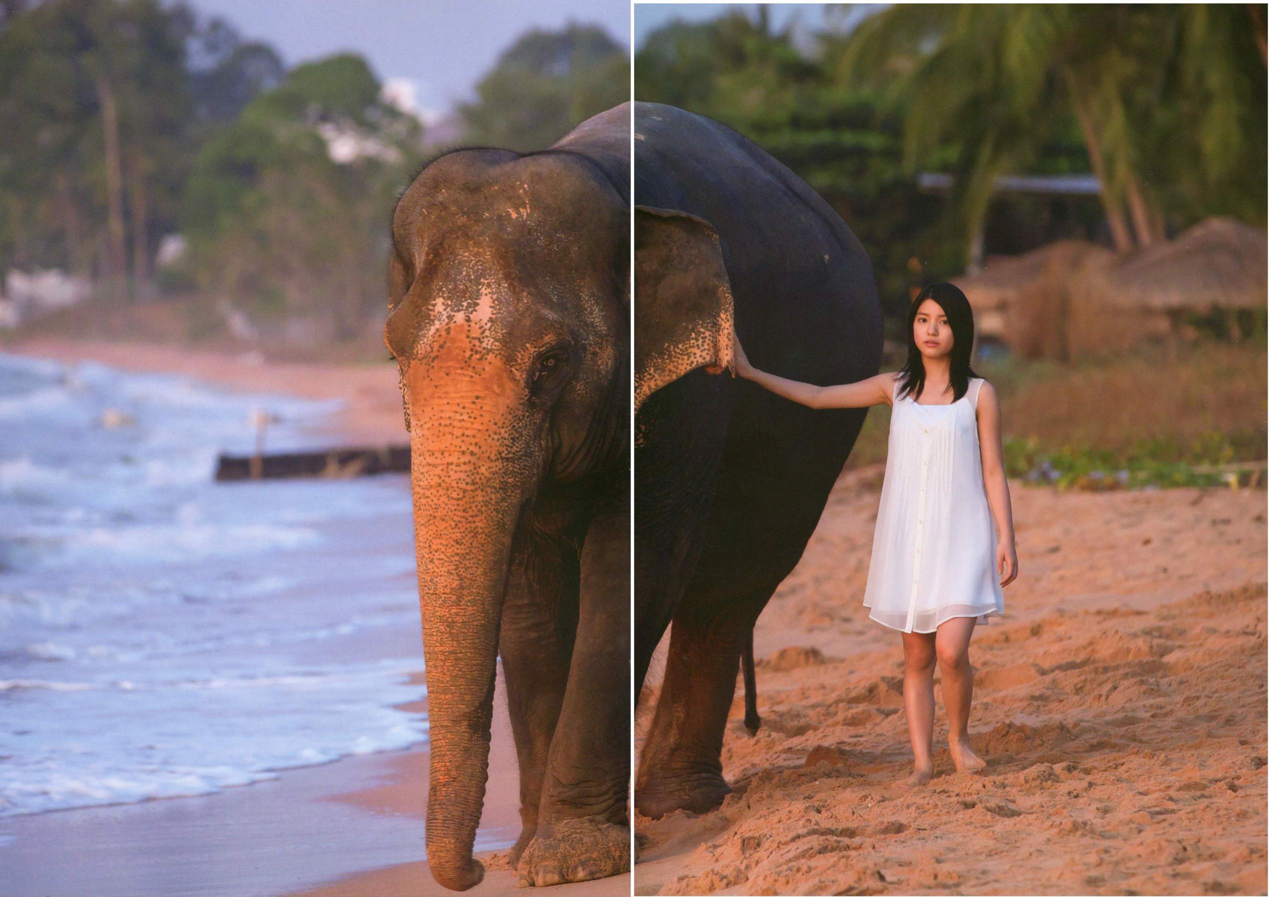 川岛海荷《Umikaze》-图4