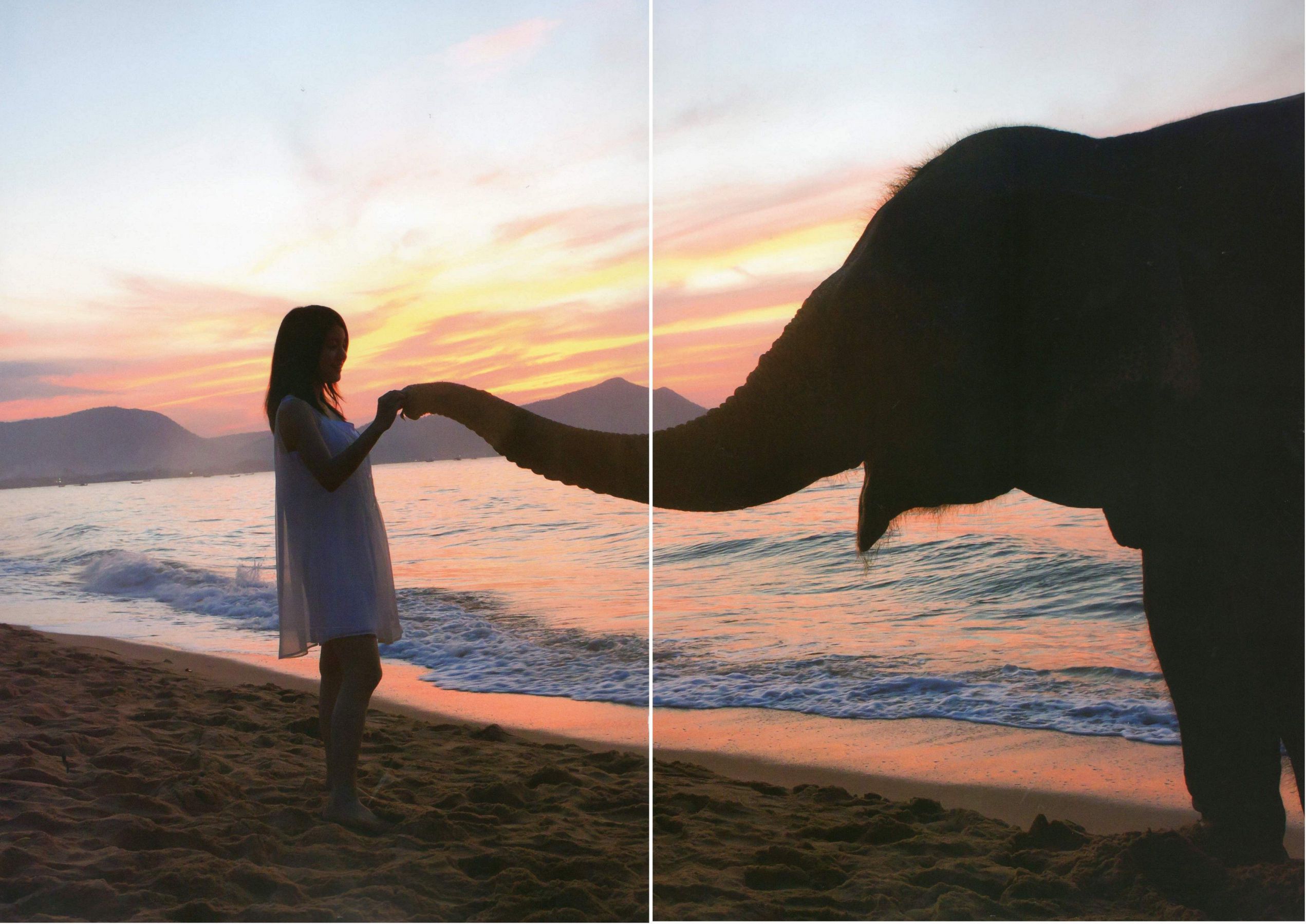 川岛海荷《Umikaze》-图7