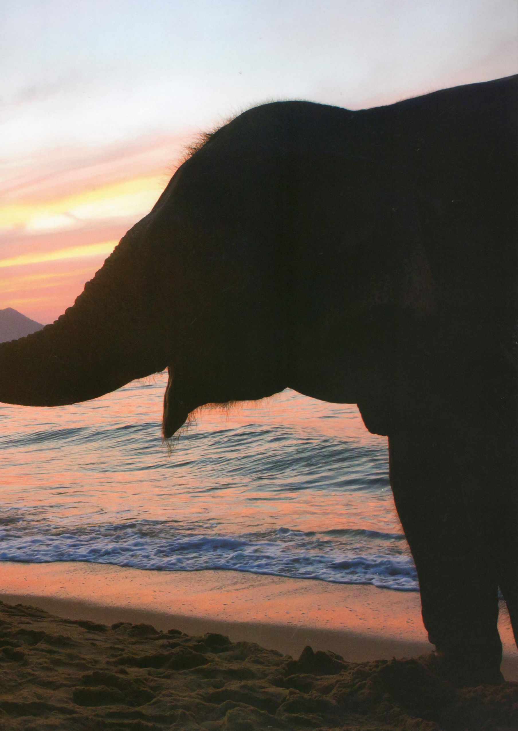 川岛海荷《Umikaze》-图8