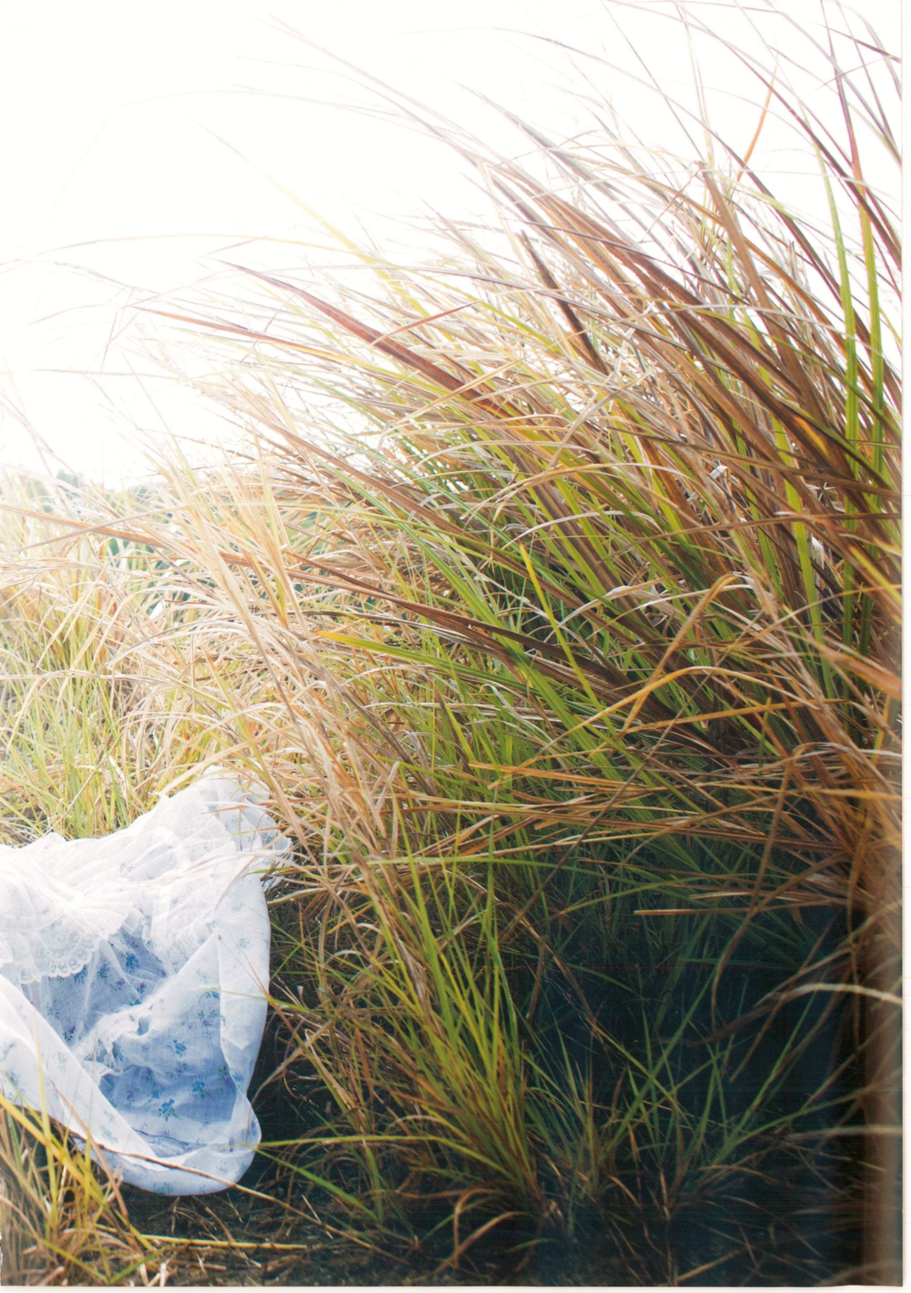 渡辺美優紀《 MW 》-图123