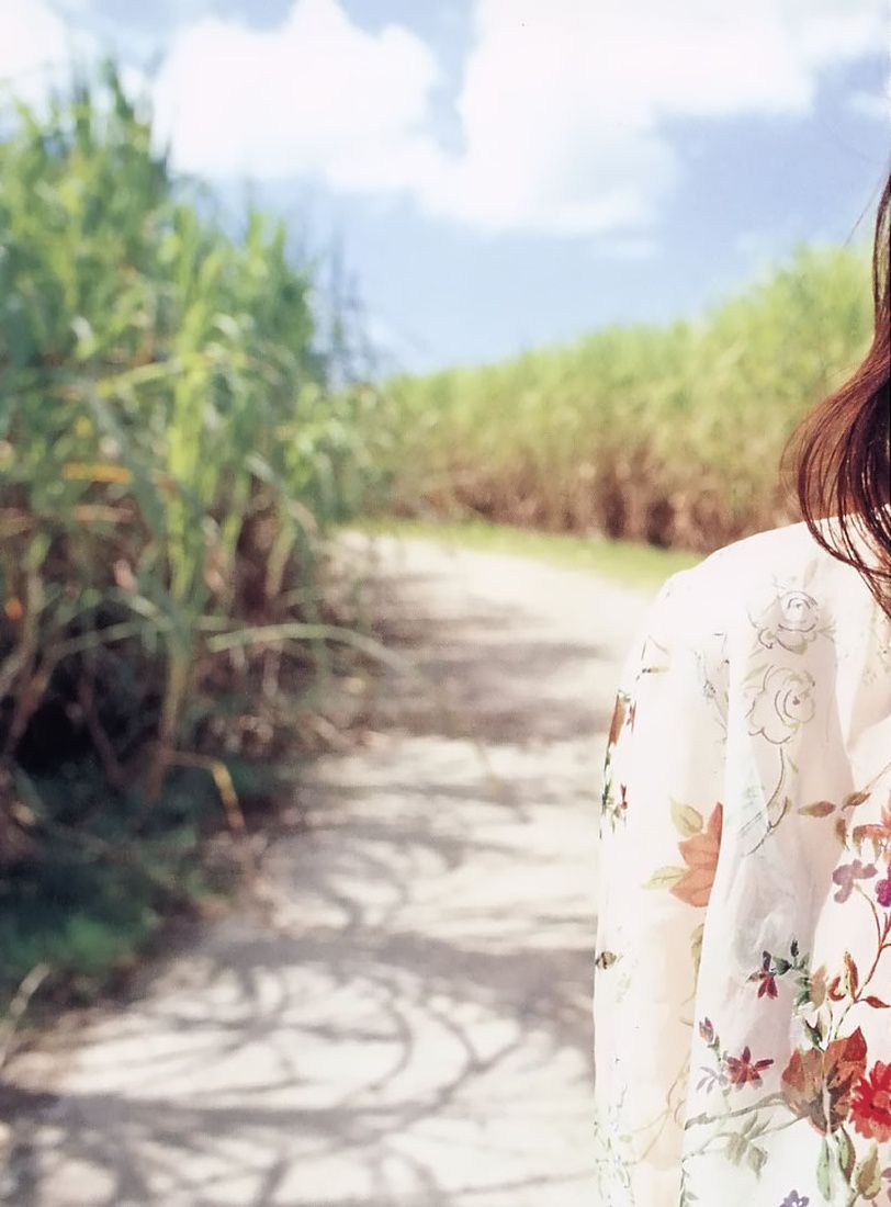 三津谷叶子 《On The Way》-图1