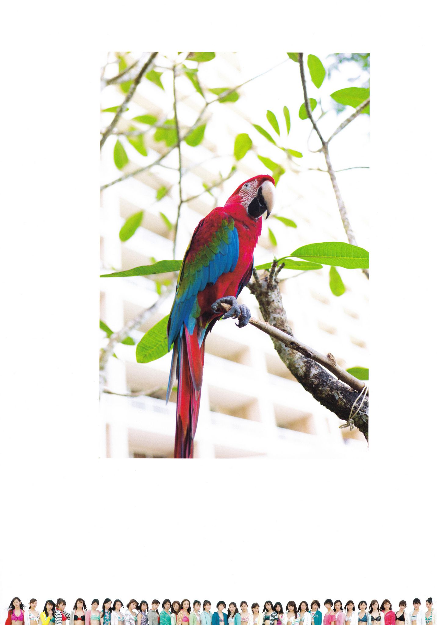 乃木坂46 《1時間遅れのI love you》-图31