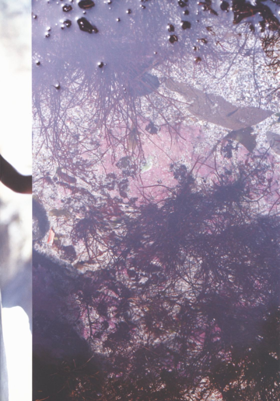 伊藤歩 Ayumi Ito  月刊シリーズ 060-图12