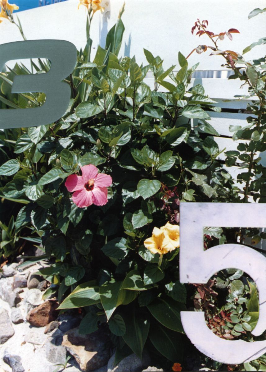 道端ジェシカ Michibata Jessica  月刊シリーズ 071-图23